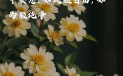 诗歌美丽的天堂