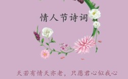 恋人心中那首诗歌词，藏着怎样的深情？