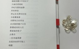 陌生人诗歌，陌生人诗歌北岛