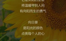 诗歌向日葵，诗歌向日葵原文