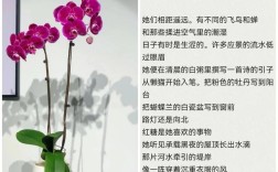 诗歌空气，空气 诗歌