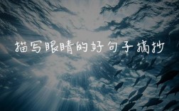 名言警句如何道尽眼之重？