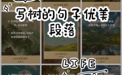 小树长成大树的名言，小树长成大树的名言名句