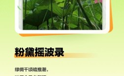 绿色诗中藏何情？