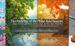 祖国四季诗歌，祖国四季诗歌大全