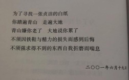 诗歌一张白纸，一张纸的独白