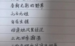 给我诗歌，为何？