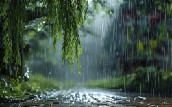 当下雨遇上诗歌，能碰撞出怎样的时代回响？