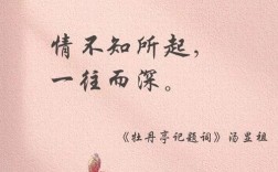 这浪漫诗藏着怎样的心动？