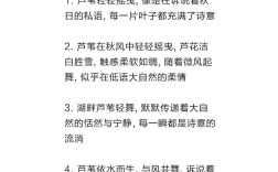 芦苇的现代诗，藏着什么深意？