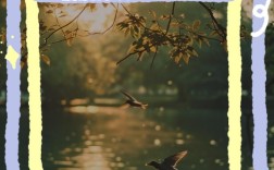 种子名言藏着什么生命启示？