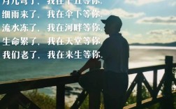 我在等你诗歌是谁在等，等怎样的诗？