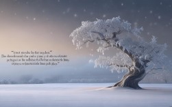 名言为何总藏着最深的伤感？