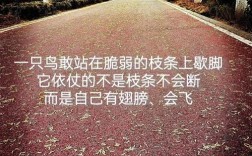 用脚步丈量世界名言，用脚步丈量世界上一句