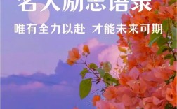 尽力名言，何为尽力真谛？