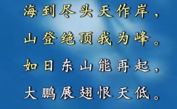海鸥的诗歌，藏着怎样的诗心？