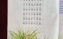 诗歌 小青蛙