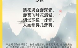 苏轼诗歌代表作有哪些？