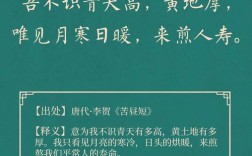 生活诗中藏着怎样的答案？