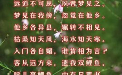 汉乐府诗有何独特魅力？