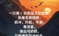 老鹰诗歌，藏着怎样的天空密码？
