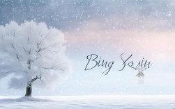 冰心诗歌的特点