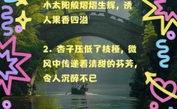 林杏子的名言，林杏子的名言名句大全