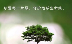 植物名言藏何智慧？