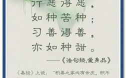 何为真名言佛教？其核心要义为何？