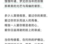 当你老了诗歌鉴赏，当你老了 诗歌鉴赏