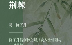 荆棘的诗歌，刺痛了谁的心扉？