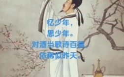 忆少年诗歌，歌曲忆少年