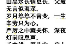 父爱无声诗何解？