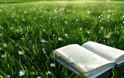 小草的诗歌全集最新收录了哪些新作？