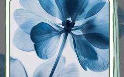 放松名言，真有放松魔力？