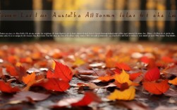 秋叶诗歌，为何今秋读来格外戳心？