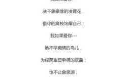 现代优美诗歌诗歌