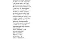 诗人诗歌诗，诗人诗歌诗集英语