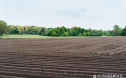 诗歌如何被批量生产？