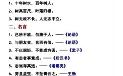 小学二年级名言警句摘抄有哪些？