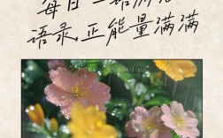 名言如何传递正能量？