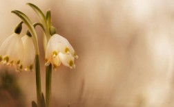 和生命有关的名言