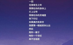 吻你诗歌，是吻文字还是吻灵魂？