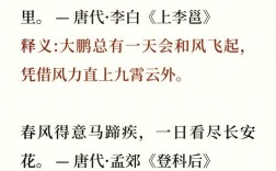 高考诗歌语言风格，高考诗歌语言风格有哪些