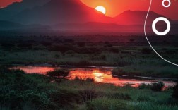 蝼蚁名人名言，蝼蚁名人名言大全