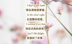 诗歌何以成艺术？