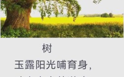 树里藏着怎样的生命诗行？