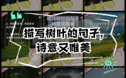 叶名言有何深意？