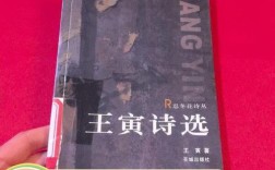 王寅诗歌有何独特魅力？