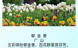 郁金香 外国诗歌，郁金香外国诗歌